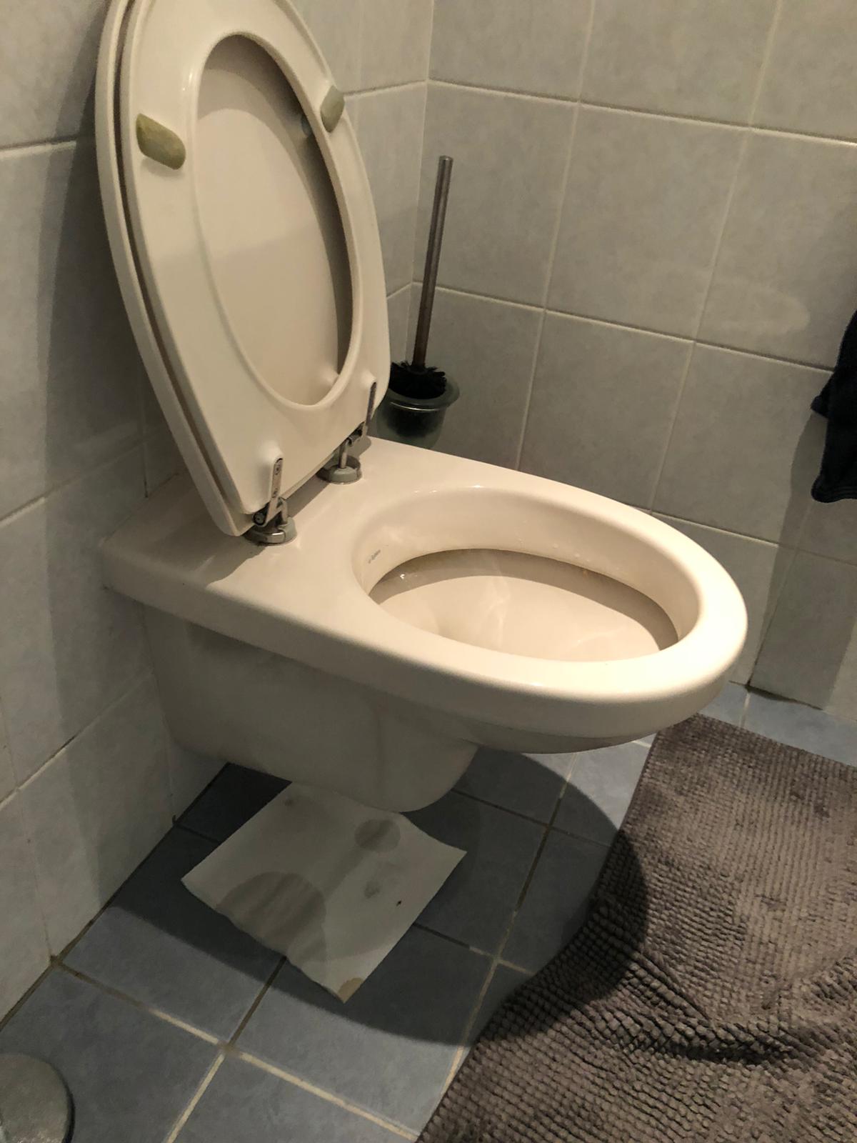 hangtoilet Diemen